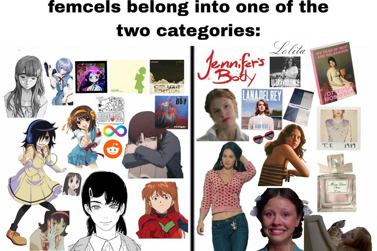 Femcels belong into one of the two categories