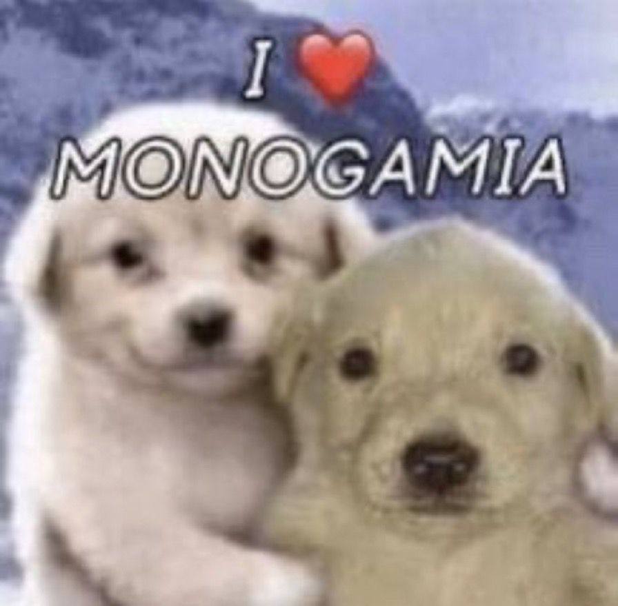 I love monogamia