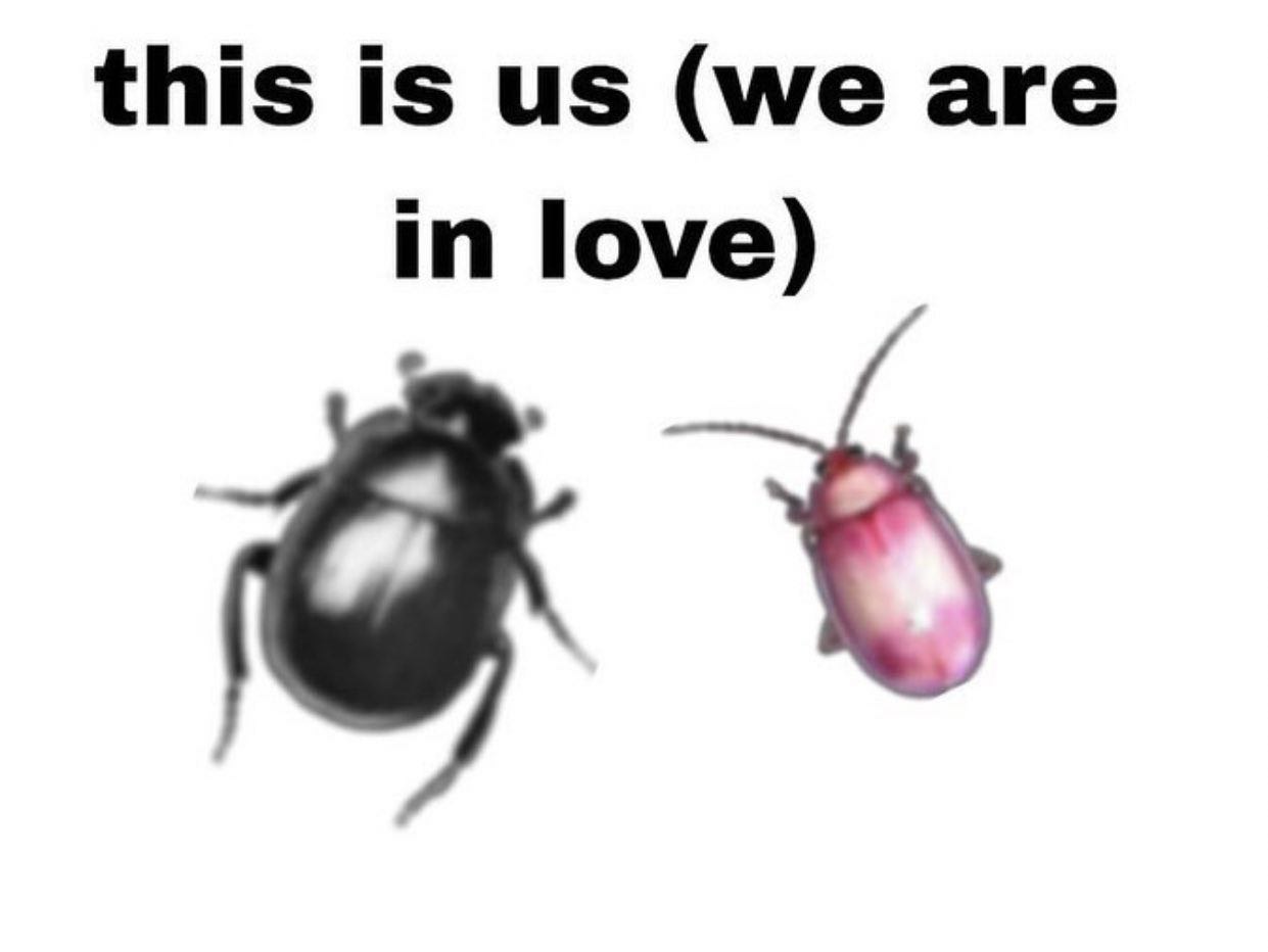 This is us (we are in love)