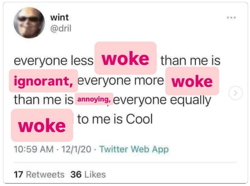 Everyone less woke than me is ignorant