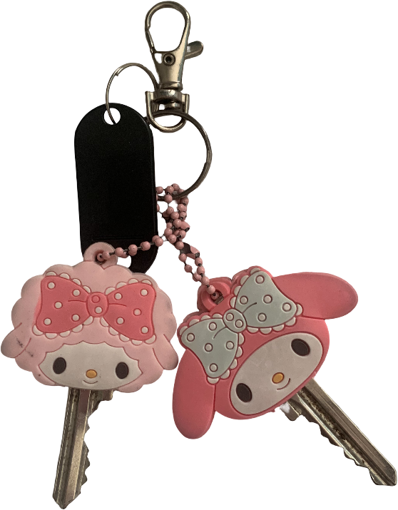 Temu keychain